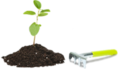 Rhico Biofertilizantes